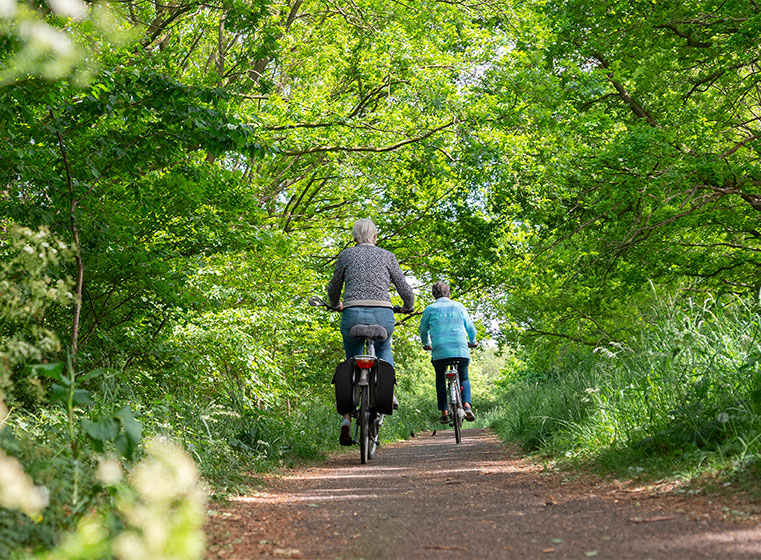 balade-a-velo-en-vendee