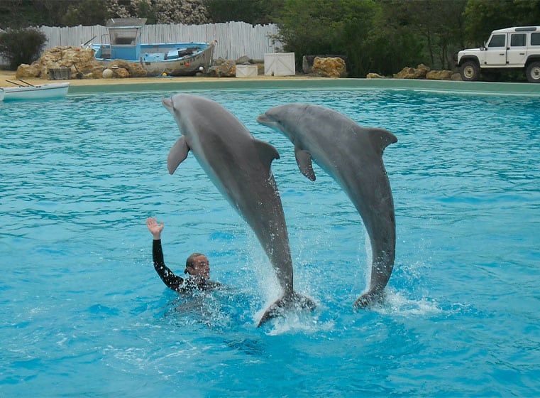 cite-marine-a-la-planete-sauvage-vendee