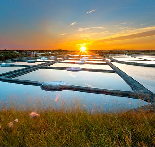 marais-salants