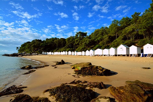 img-1 visiter-noirmoutier-en-lile