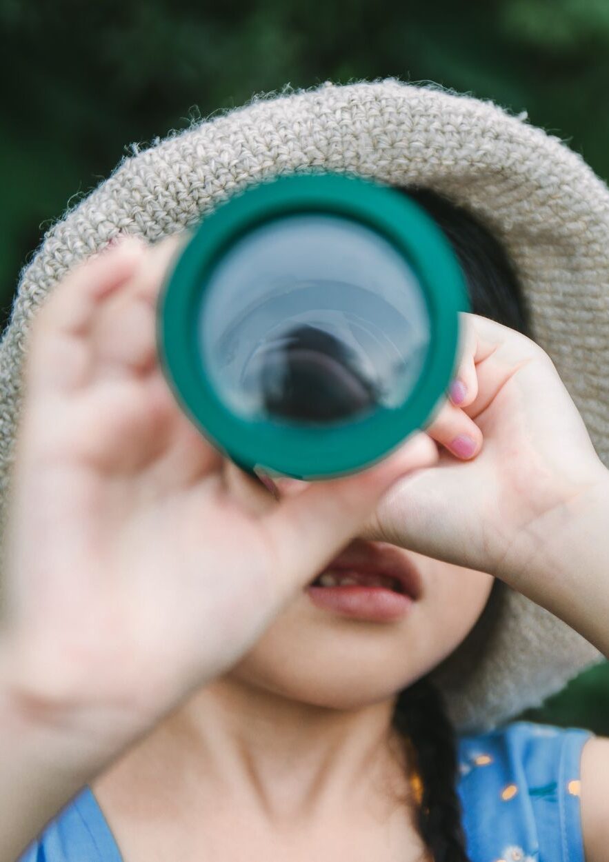 binoculars vue (1)